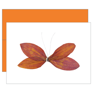 Cinnamon Spice Greeting Card