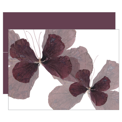 Cranberry Crisp Flutter Greeting Card