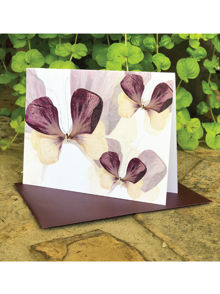 Dreamy Flutter Greeting Card