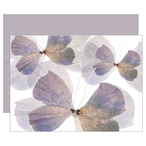 Ocean Blue Flutter Greeting Card