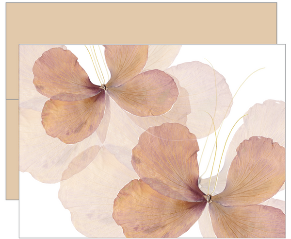 Soulful Spring Flutter Greeting Card