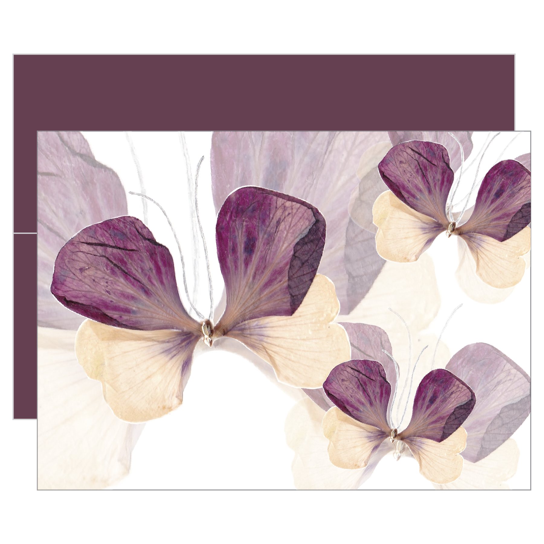 Dreamy Flutter Greeting Card