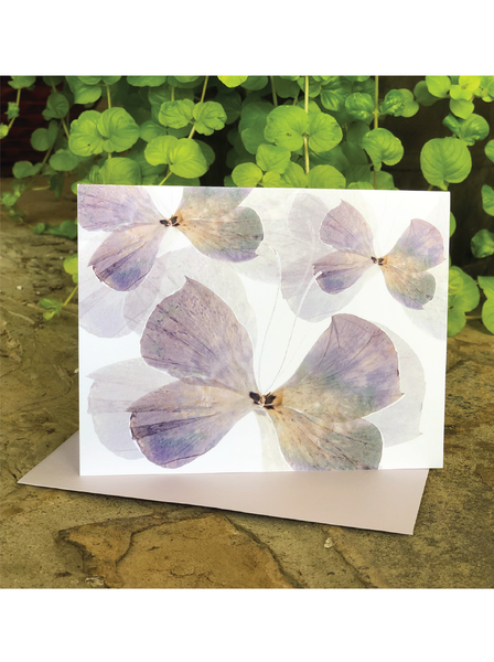 Ocean Blue Flutter Greeting Card