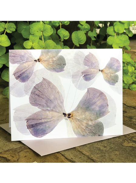 Ocean Blue Flutter Greeting Card