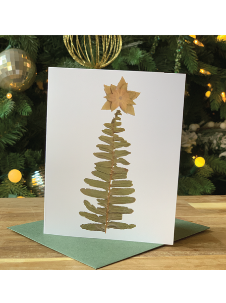 Tree Holiday Greeting Cards