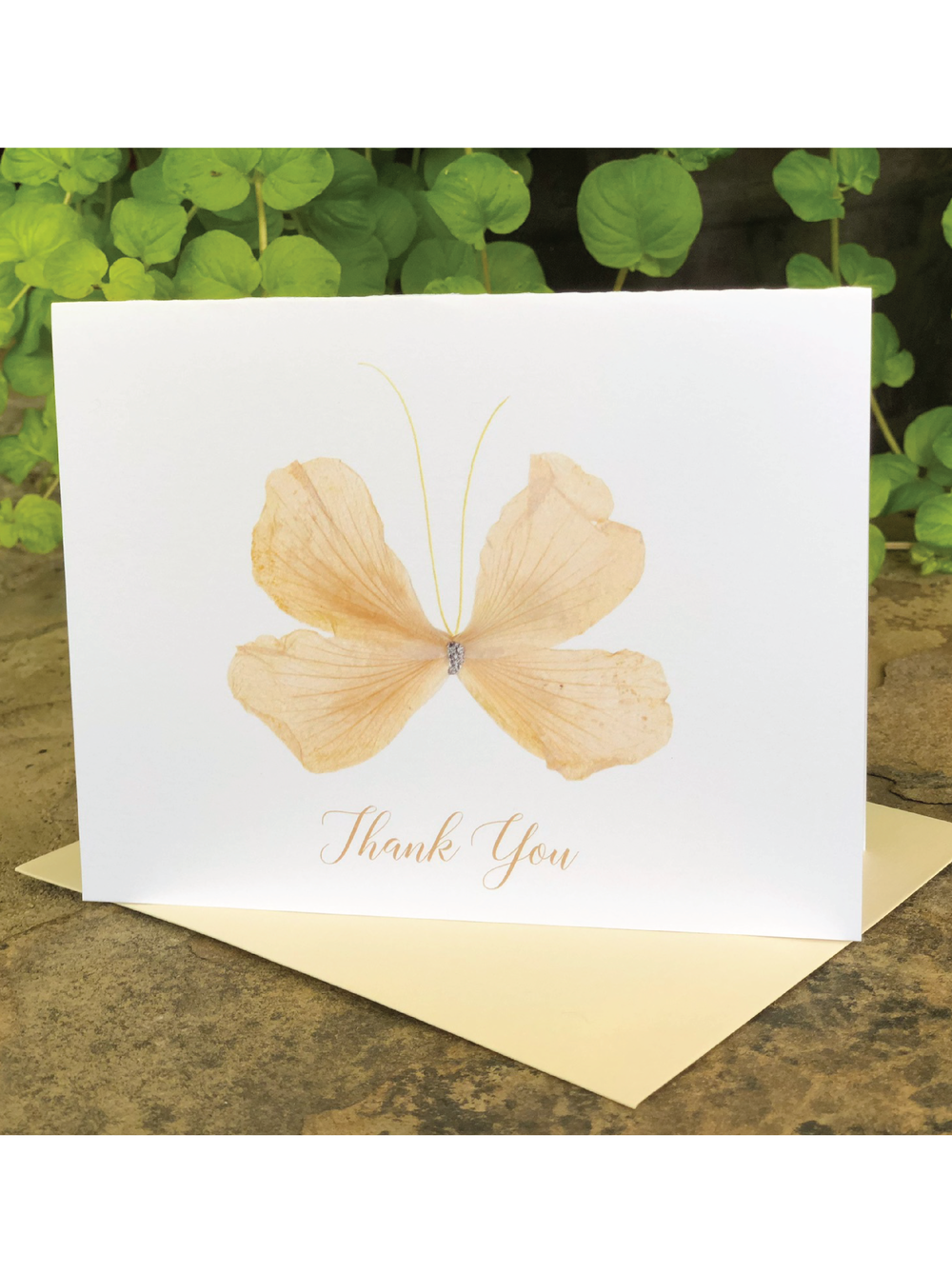 Thank You Cards