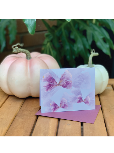 Fall's Blush Flutter Greeting Card