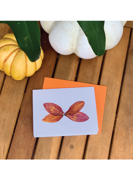 Cinnamon Spice Greeting Card