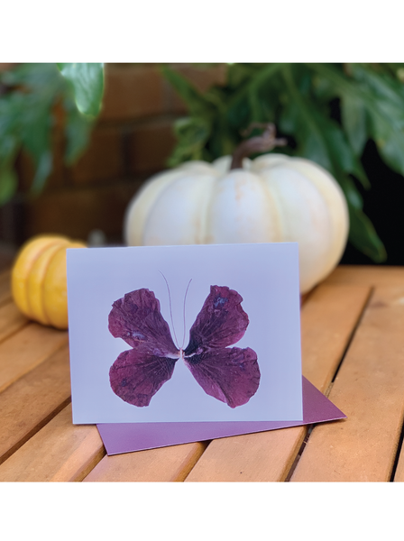 Cranberry Crisp Greeting Card