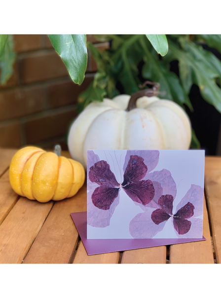 Cranberry Crisp Flutter Greeting Card