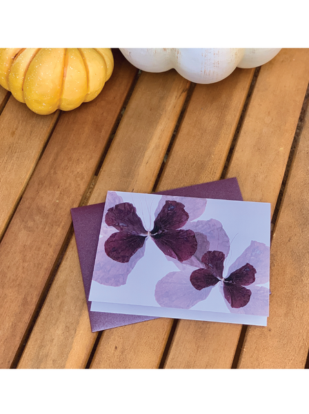 Cranberry Crisp Flutter Greeting Card