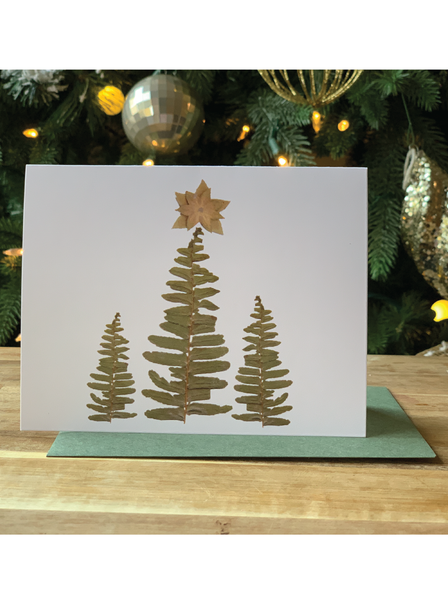 Tree Holiday Greeting Cards